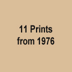 11 prints from 76 color