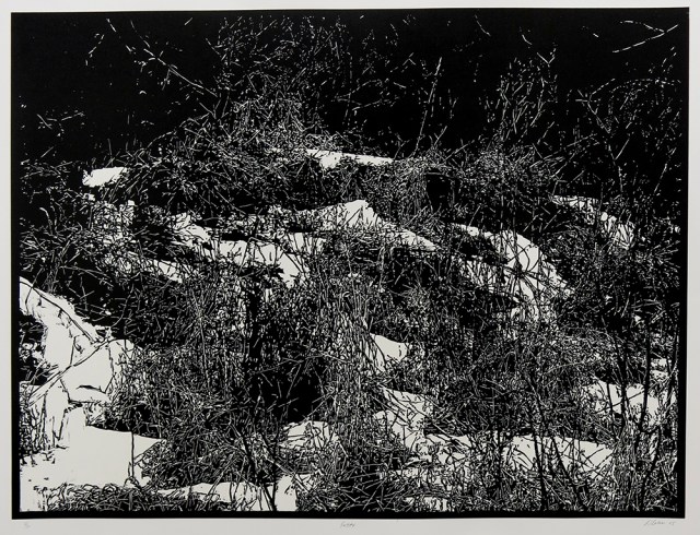 David Conn | Artist Printmaker/Photographer Research Collection AP/RC ...